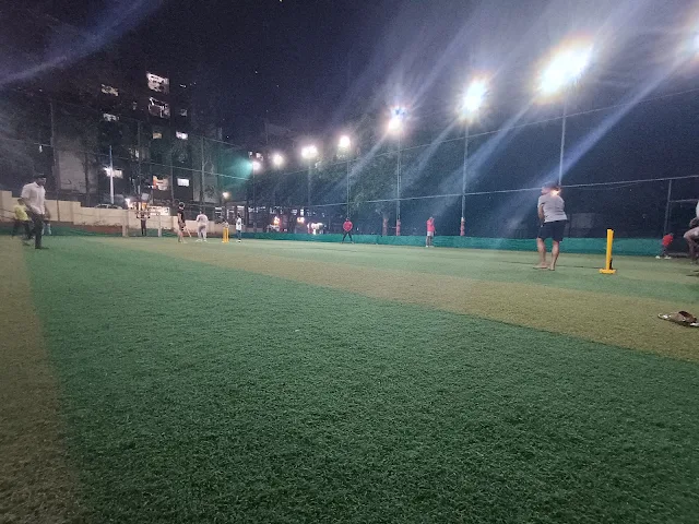 Turf photo 2