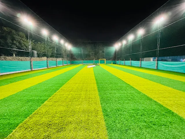 Turf photo 6