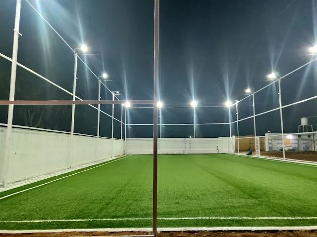 Turf photo 3