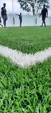 Turf photo 4