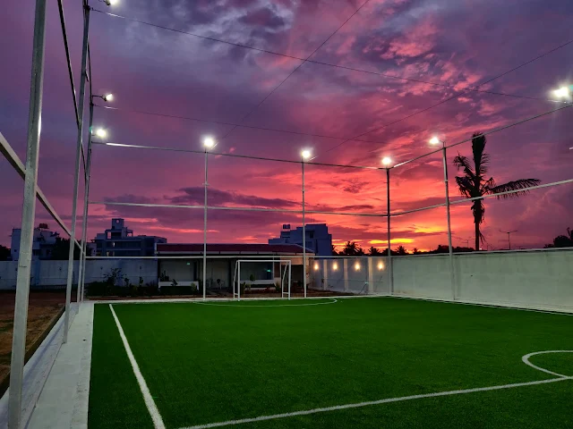 Turf photo 2