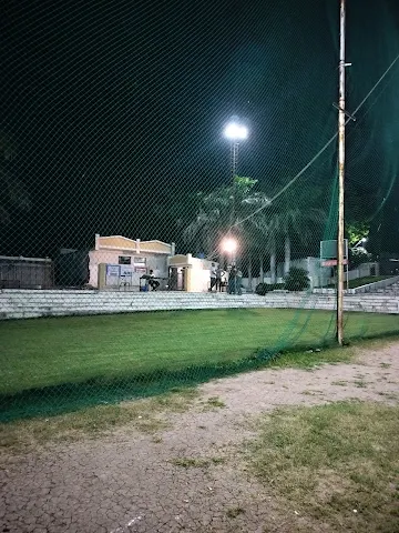 Turf photo 6