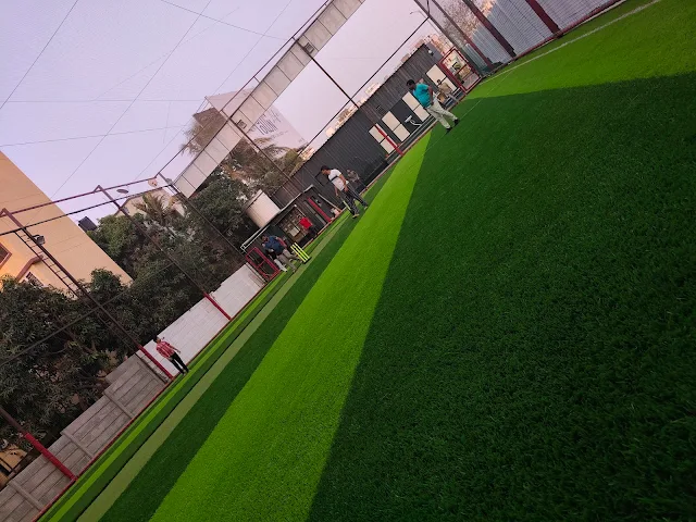 Turf photo 2