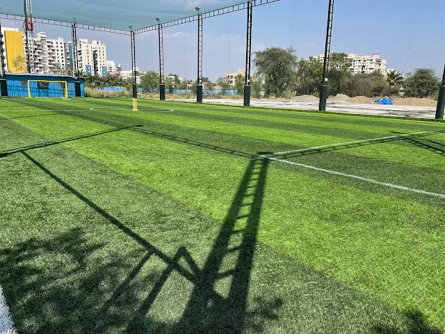 Turf main photo