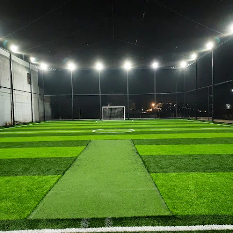 Turf photo 2