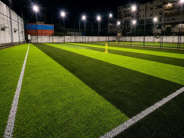 Turf photo 2
