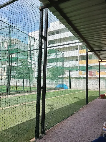 Turf photo 3