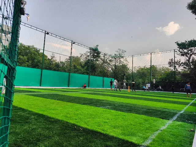 Turf main photo