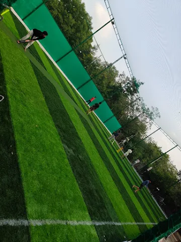 Turf photo 5