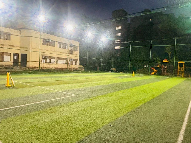 Turf photo 3