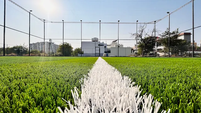 Turf photo 3