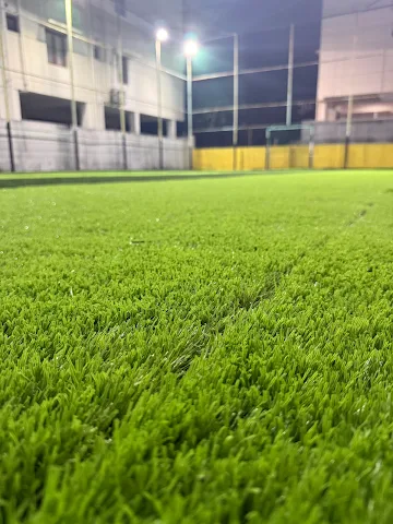 Turf photo 4