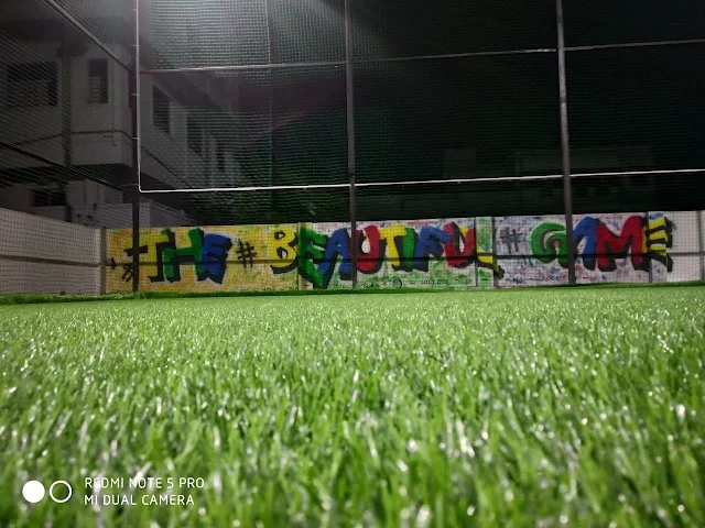 Turf photo 2