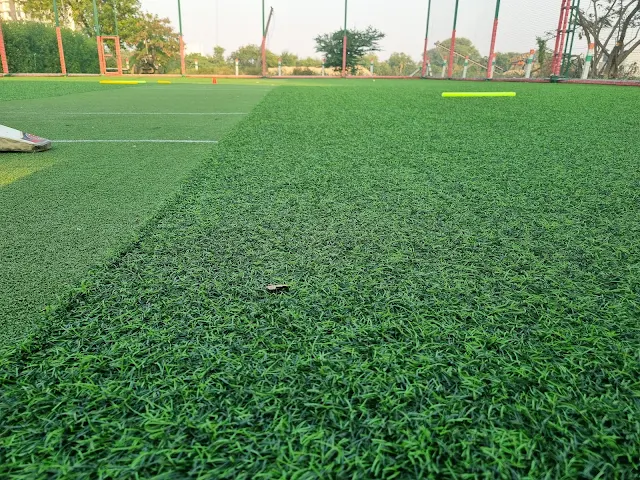 Turf photo 4