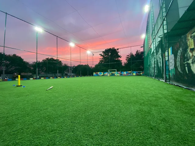 Turf photo 2