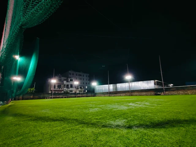 Turf photo 2
