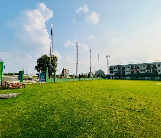 Turf photo 5