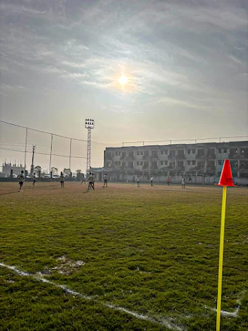 Turf photo 6