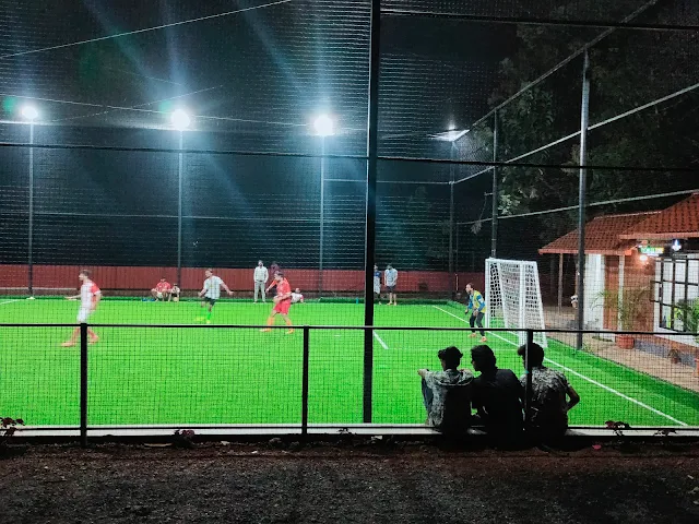 Turf photo 3