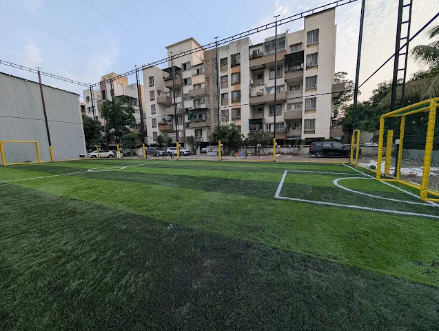 Turf photo 2
