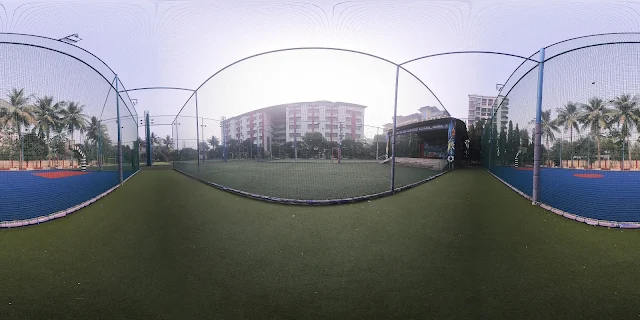 Turf photo 7