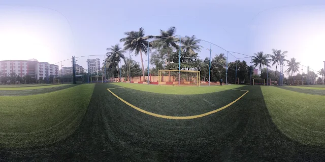Turf photo 6