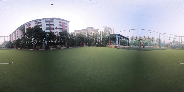 Turf photo 3