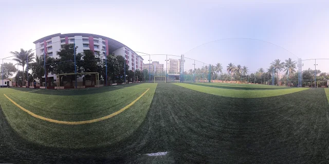 Turf photo 5