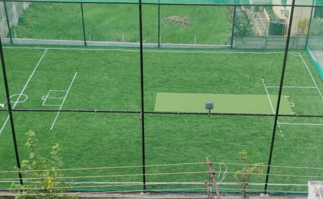 Turf photo 3