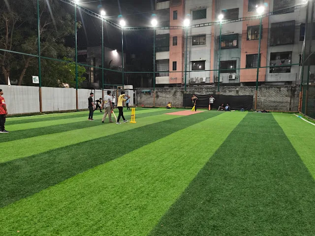 Turf photo 2