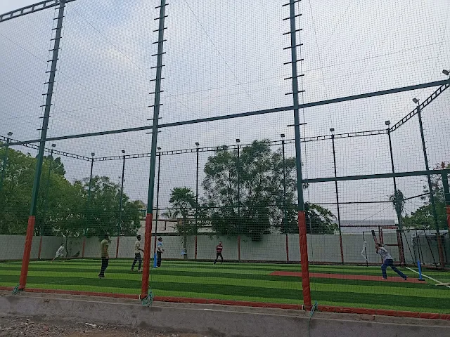 Turf photo 5