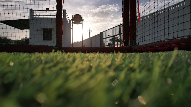 Turf photo 4