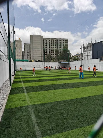 Turf photo 2