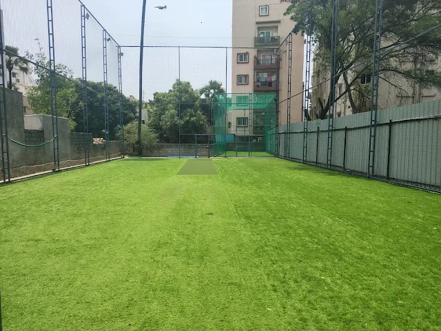 Turf photo 3