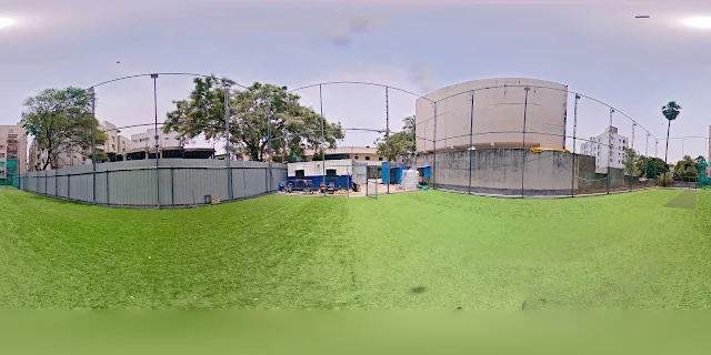 Turf photo 6