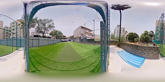 Turf photo 4