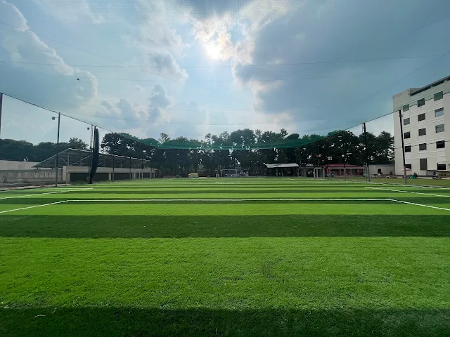 Turf photo 2