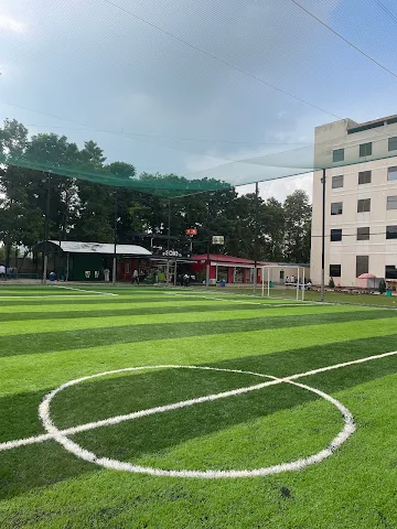 Turf photo 3
