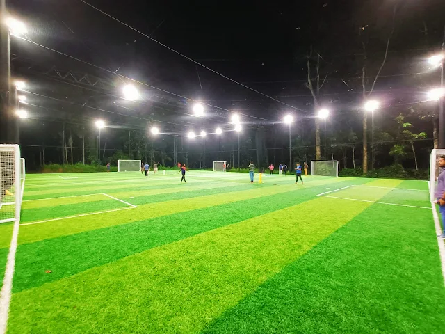 Turf photo 2