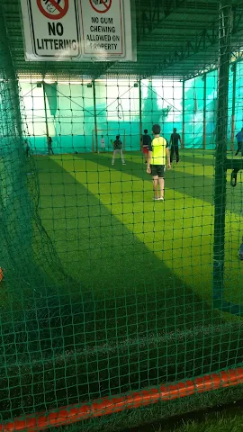 Turf photo 6