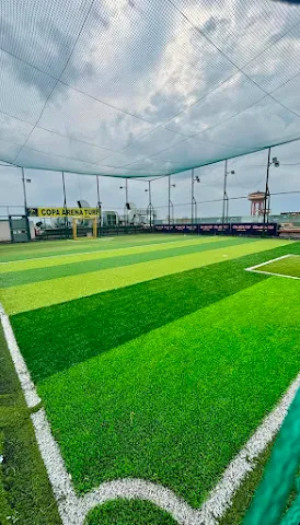 Turf photo 2