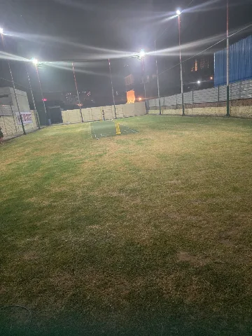 Turf photo 2