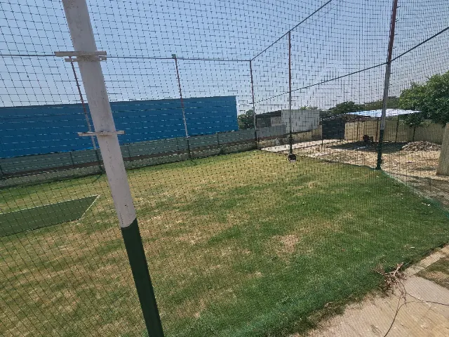 Hit Box Cricket