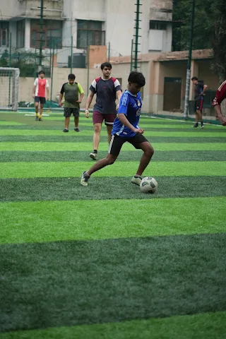 Turf photo 5