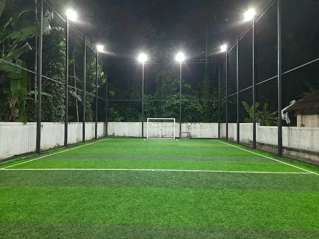 Turf photo 3