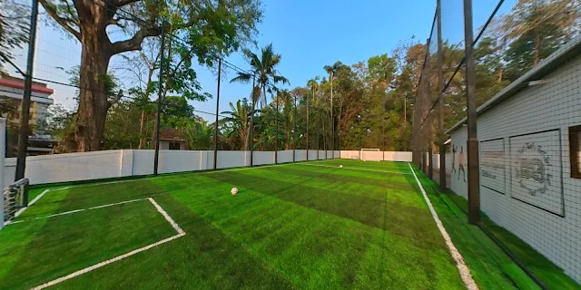 Turf photo 2