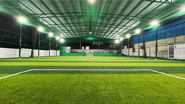 Turf photo 4
