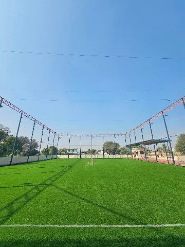 Turf photo 2