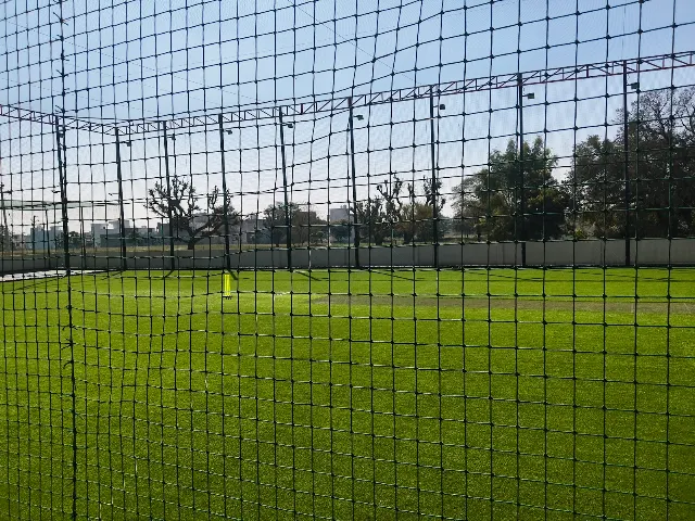Turf photo 5