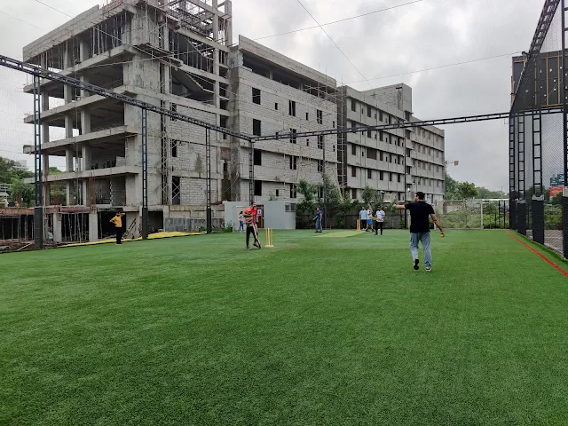 Turf photo 8